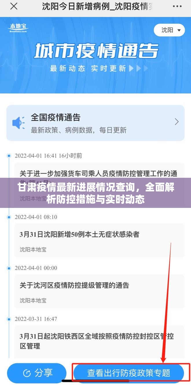 甘肃疫情最新进展情况查询，全面解析防控措施与实时动态