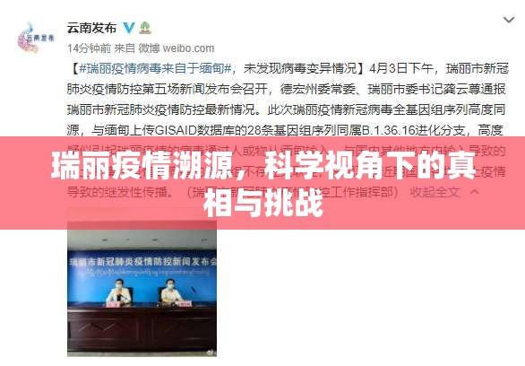瑞丽疫情溯源，科学视角下的真相与挑战