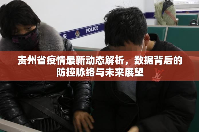 贵州省疫情最新动态解析,数据背后的防控脉络与未来展望 贵州省疫情最新动态解析,数据背后的防控脉络与未来展望