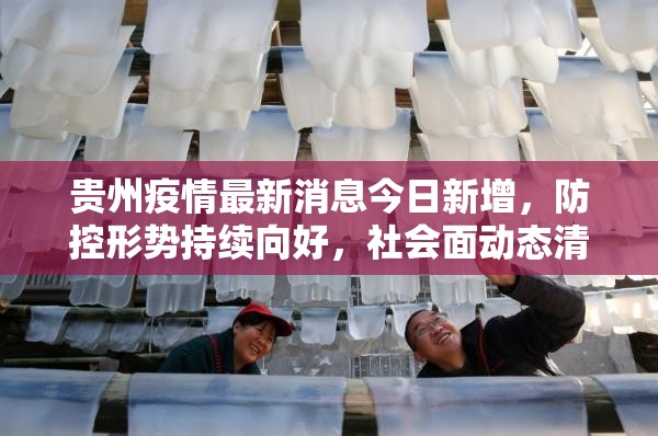 贵州疫情最新消息今日新增，防控形势持续向好，社会面动态清零成果巩固