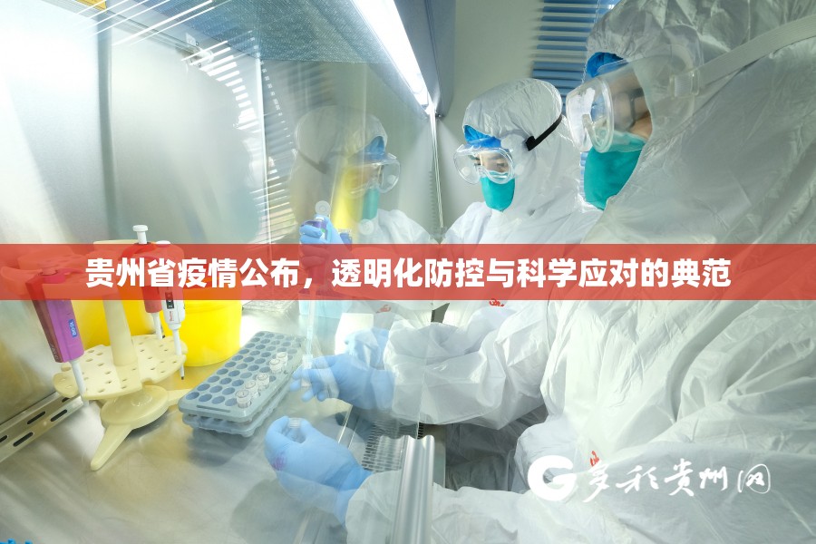 贵州省疫情公布,透明化防控与科学应对的典范 贵州省疫情公布,透明化防控与科学应对的典范
