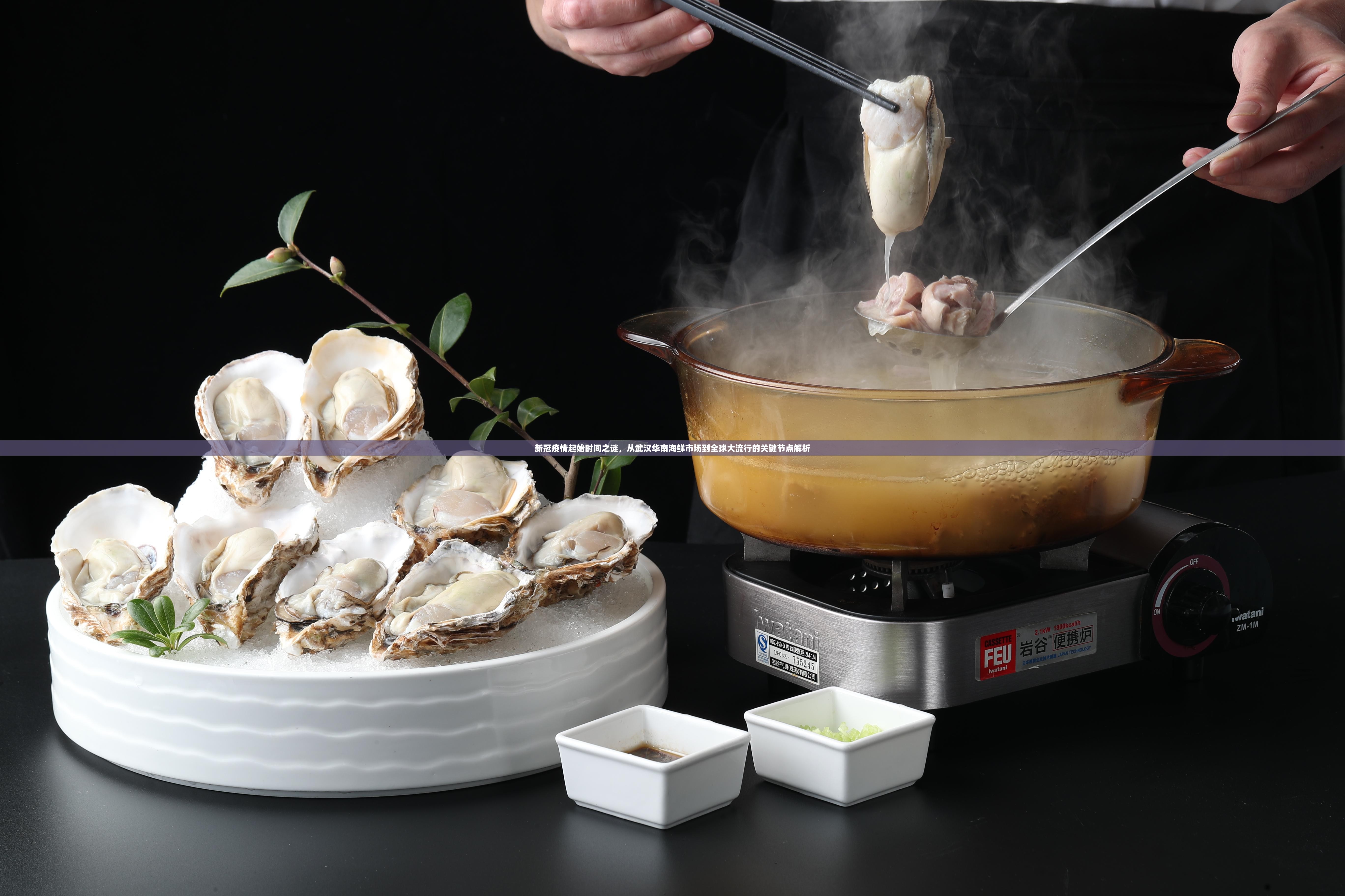 新冠疫情起始时间之谜,从武汉华南海鲜市场到全球大流行的关键节点解析 新冠疫情起始时间之谜,从武汉华南海鲜市场到全球大流行的关键节点解析