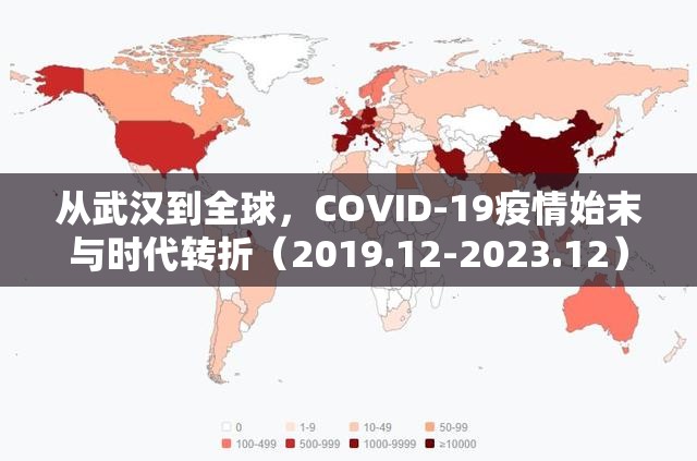 从武汉到全球，COVID-19疫情始末与时代转折（2019.12-2023.12）