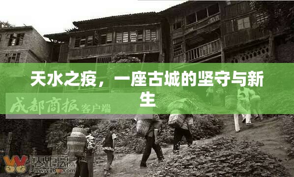 天水之疫，一座古城的坚守与新生
