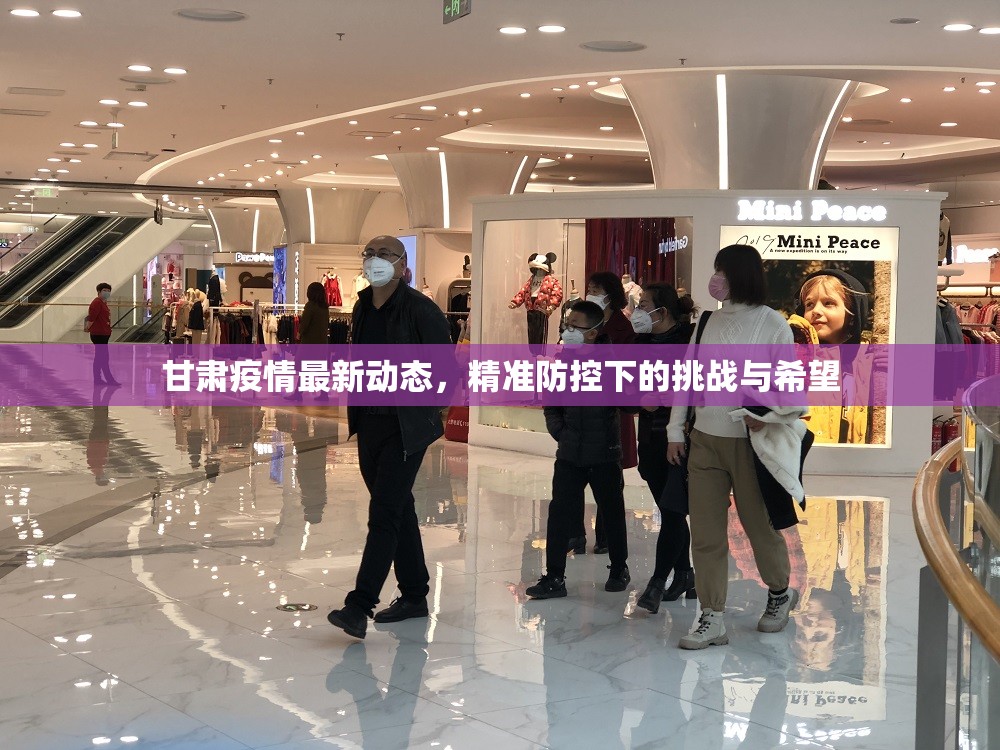 甘肃疫情最新动态，精准防控下的挑战与希望