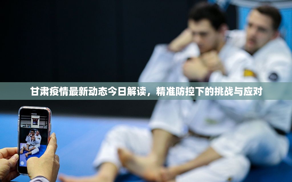 甘肃疫情最新动态今日解读，精准防控下的挑战与应对