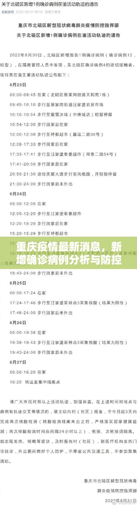重庆疫情最新消息，新增确诊病例分析与防控措施解读