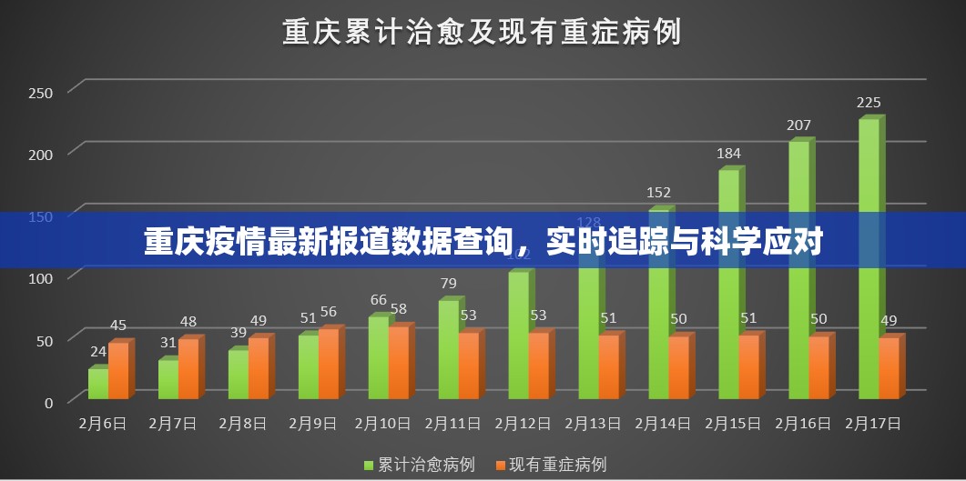 重庆疫情最新报道数据查询,实时追踪与科学应对 重庆疫情最新报道数据查询,实时追踪与科学应对