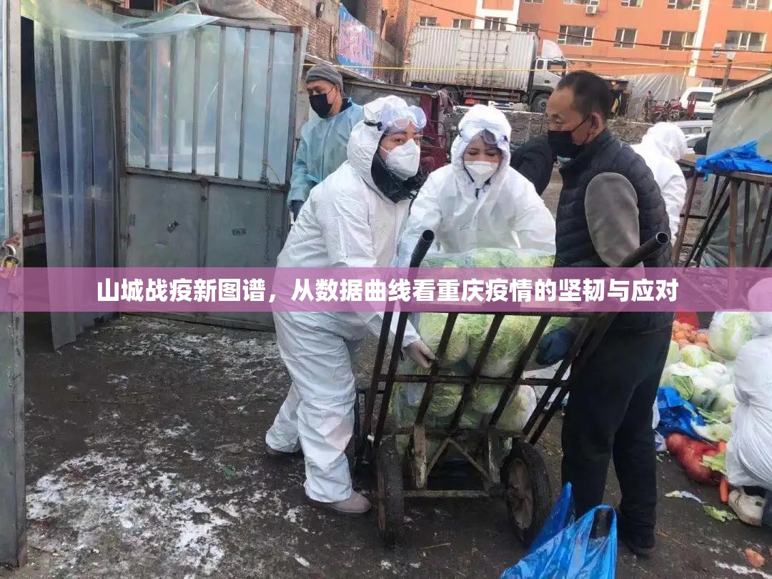 山城战疫新图谱，从数据曲线看重庆疫情的坚韧与应对