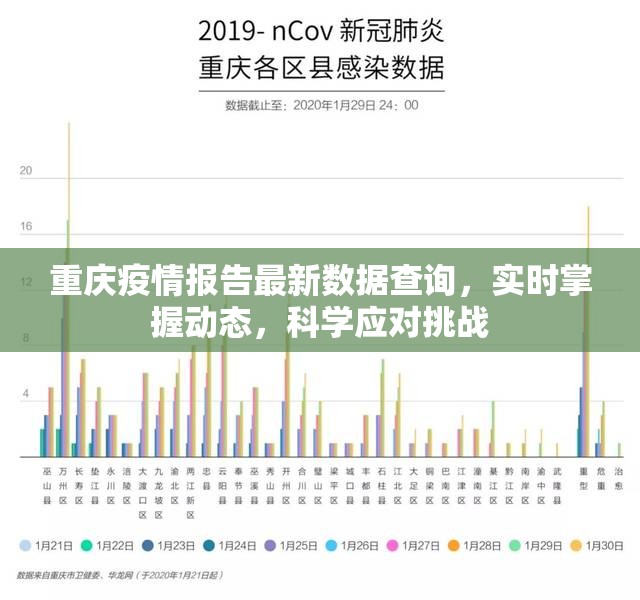 重庆疫情报告最新数据查询，实时掌握动态，科学应对挑战