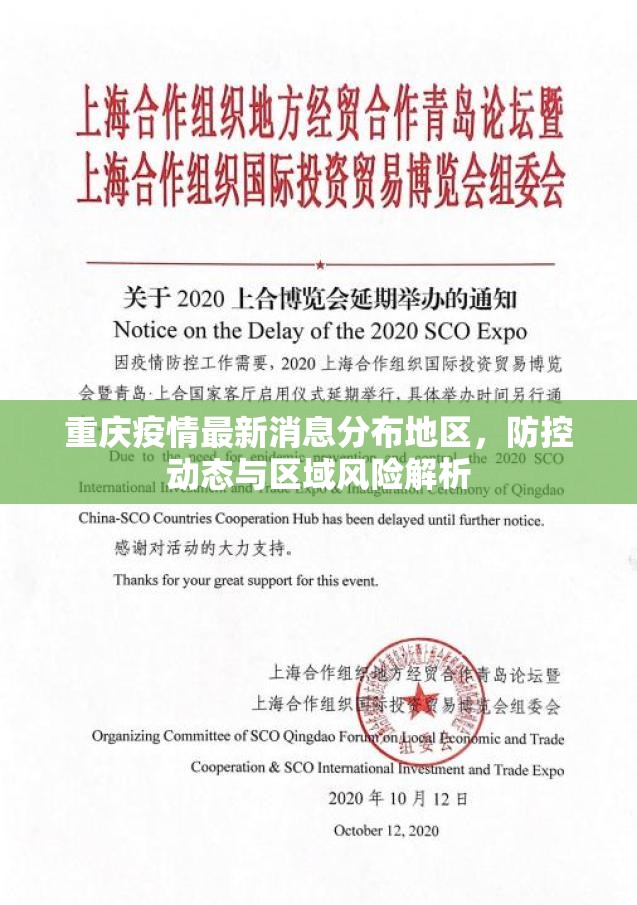 重庆疫情最新消息分布地区，防控动态与区域风险解析