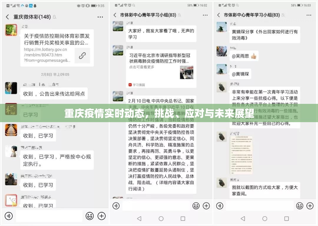 重庆疫情实时动态，挑战、应对与未来展望