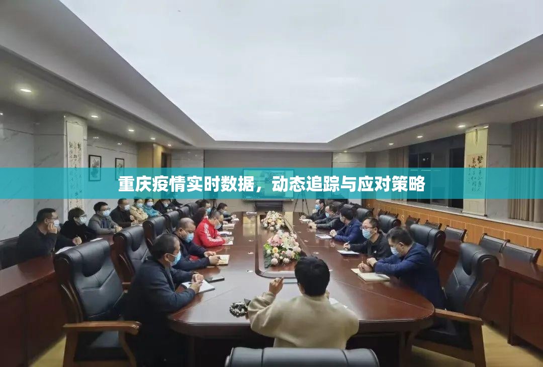 重庆疫情实时数据，动态追踪与应对策略