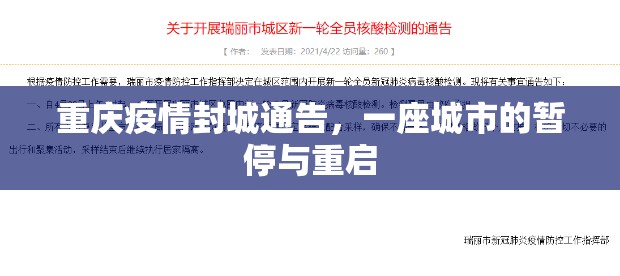 重庆疫情封城通告，一座城市的暂停与重启