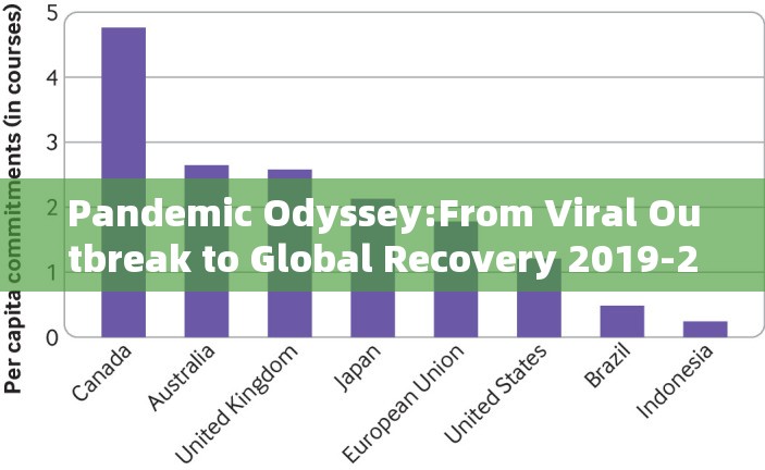 Pandemic Odyssey:From Viral Outbreak to Global Recovery 2019-2023)