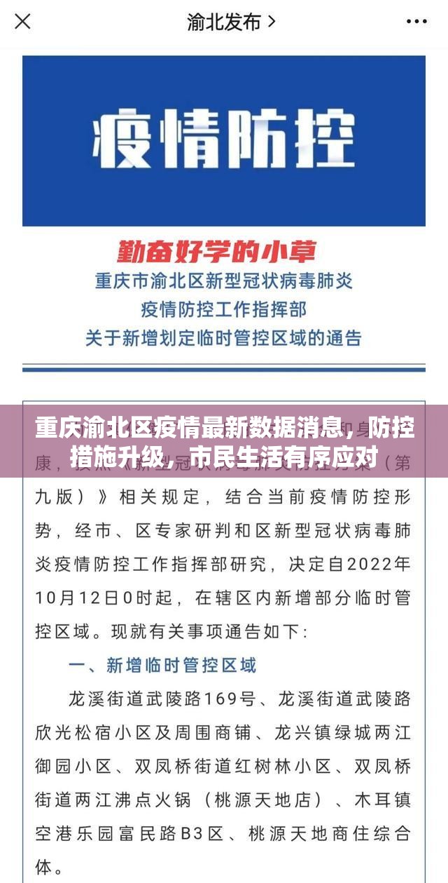 重庆渝北区疫情最新数据消息,防控措施升级,市民生活有序应对 重庆渝北区疫情最新数据消息,防控措施升级,市民生活有序应对
