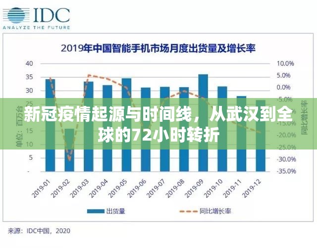 新冠疫情起源与时间线,从武汉到全球的72小时转折 新冠疫情起源与时间线,从武汉到全球的72小时转折