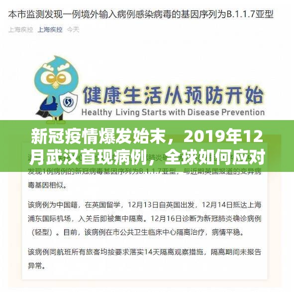 新冠疫情爆发始末,2019年12月武汉首现病例,全球如何应对? 新冠疫情爆发始末,2019年12月武汉首现病例,全球如何应对?