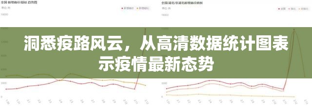 洞悉疫路风云,从高清数据统计图表示疫情最新态势 洞悉疫路风云,从高清数据统计图表示疫情最新态势