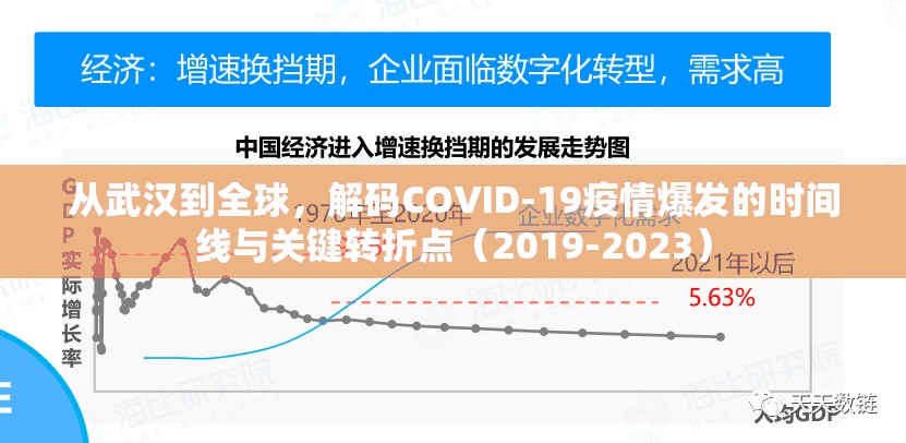 从武汉到全球，解码COVID-19疫情爆发的时间线与关键转折点（2019-2023）
