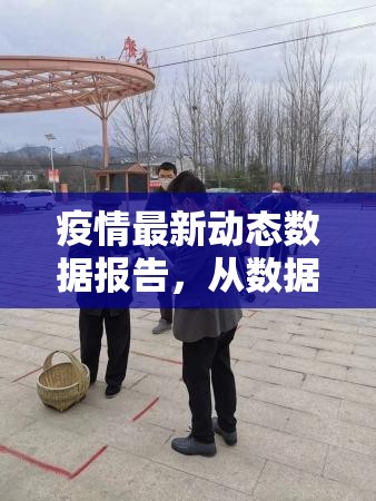 疫情最新动态数据报告，从数据波动看后疫情时代的挑战与应对
