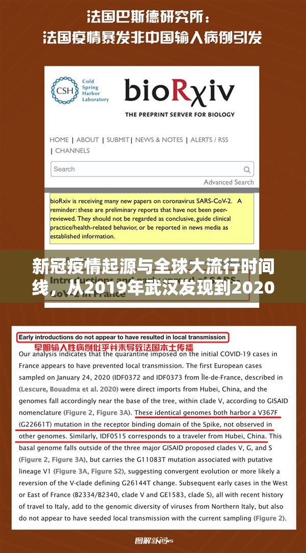 新冠疫情起源与全球大流行时间线，从2019年武汉发现到2020年世卫组织宣告