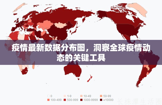 疫情最新数据分布图，洞察全球疫情动态的关键工具