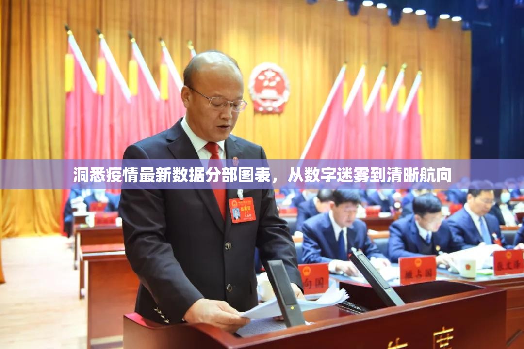 洞悉疫情最新数据分部图表，从数字迷雾到清晰航向