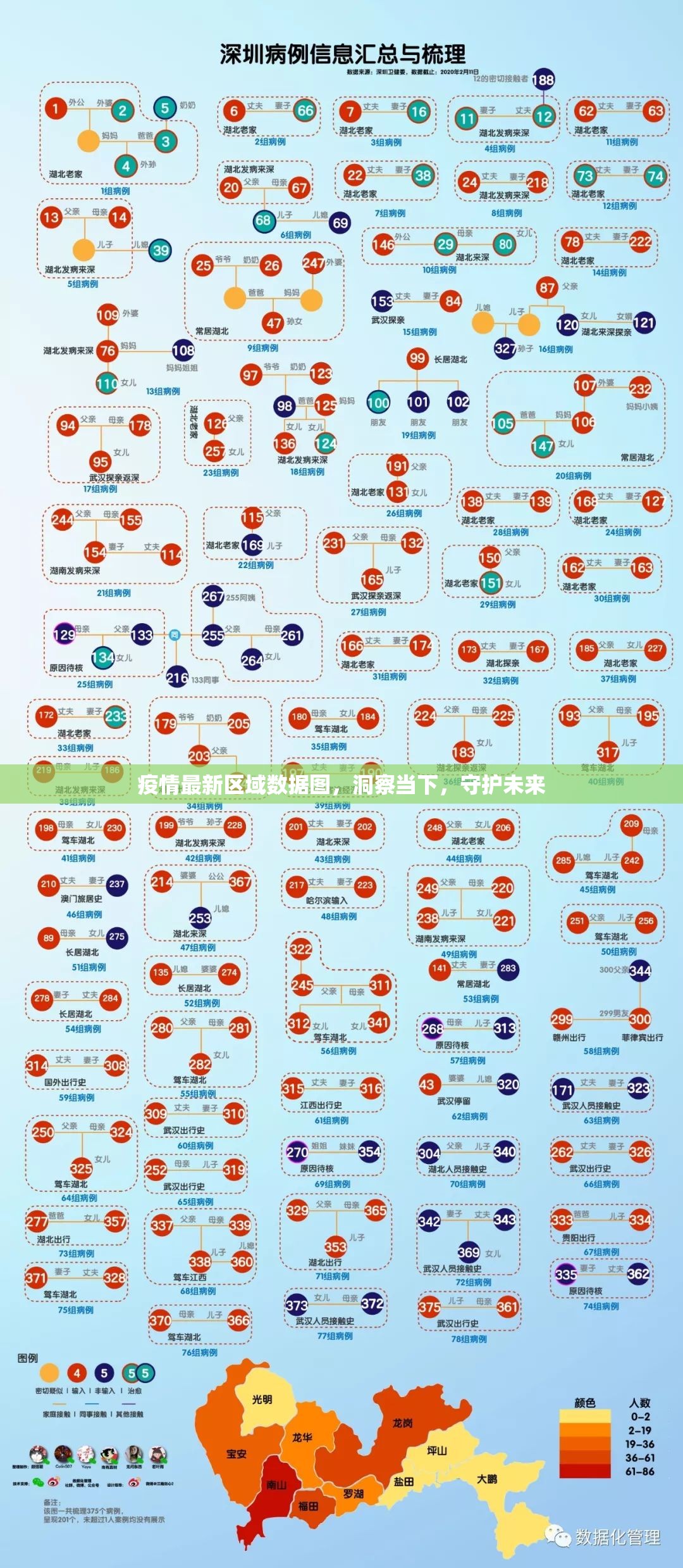 疫情最新区域数据图，洞察当下，守护未来