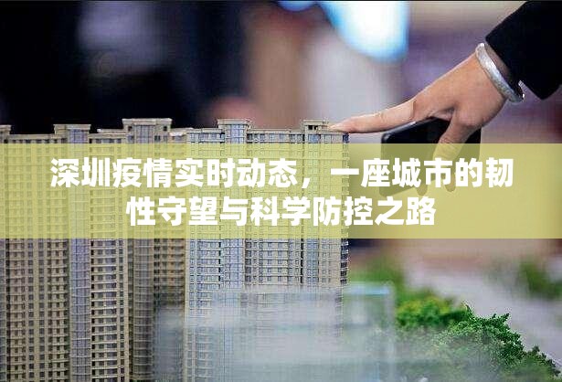 深圳疫情实时动态，一座城市的韧性守望与科学防控之路