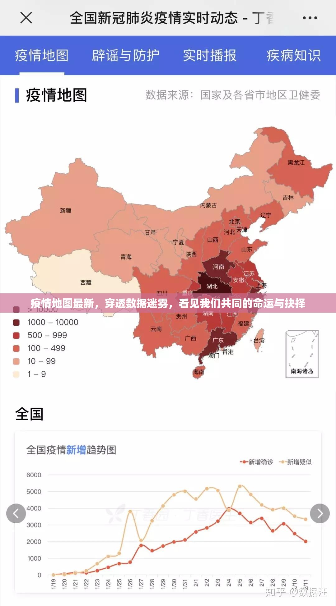 疫情地图最新，穿透数据迷雾，看见我们共同的命运与抉择