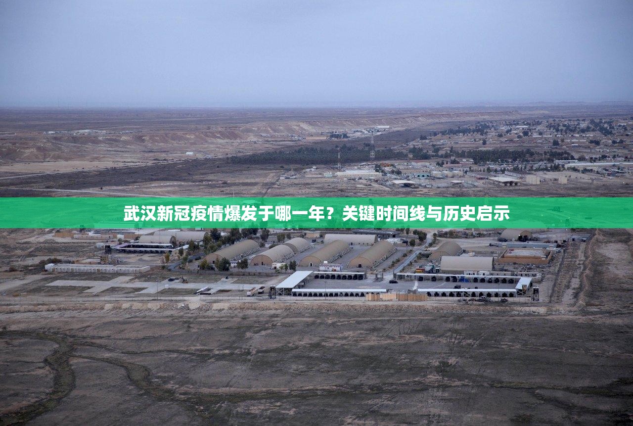 武汉新冠疫情爆发于哪一年？关键时间线与历史启示