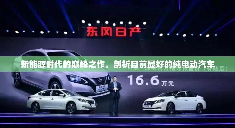 新能源时代的巅峰之作，剖析目前最好的纯电动汽车