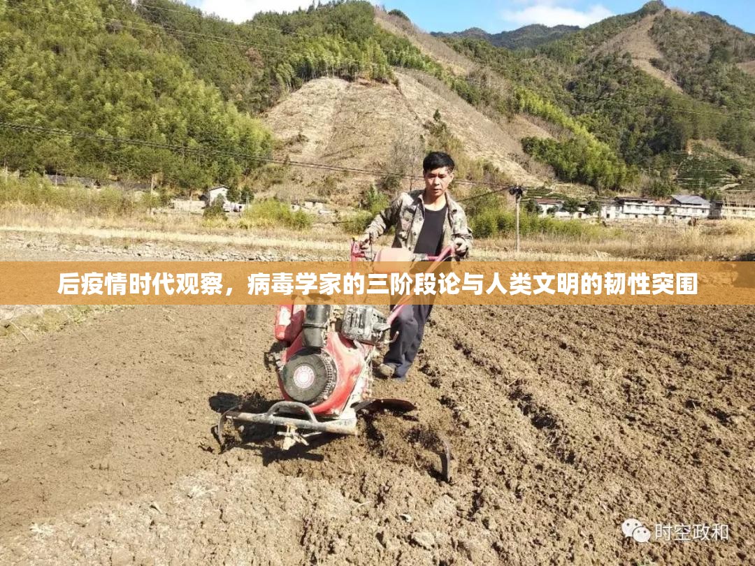 后疫情时代观察，病毒学家的三阶段论与人类文明的韧性突围