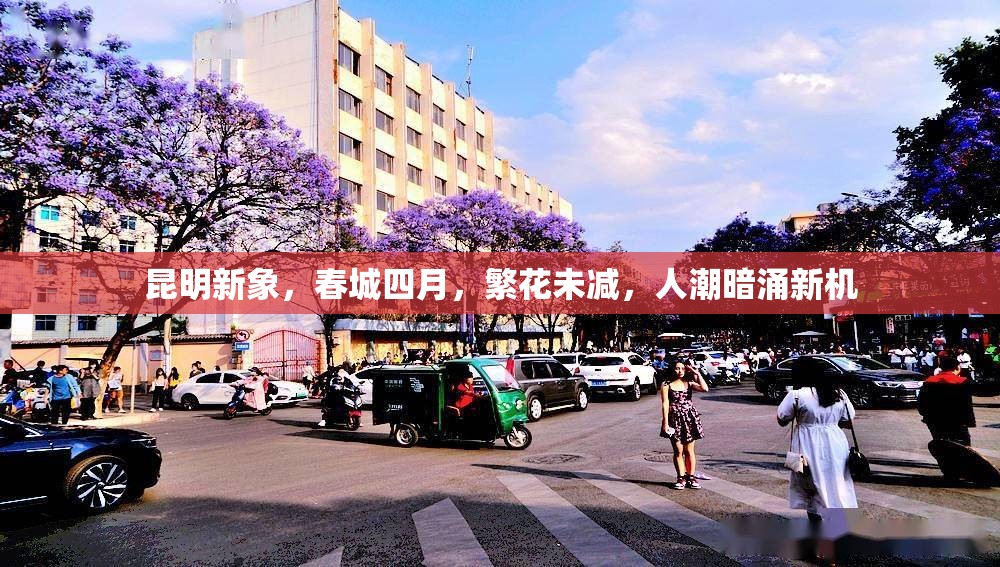 昆明新象，春城四月，繁花未减，人潮暗涌新机