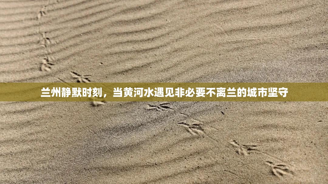 兰州静默时刻，当黄河水遇见非必要不离兰的城市坚守