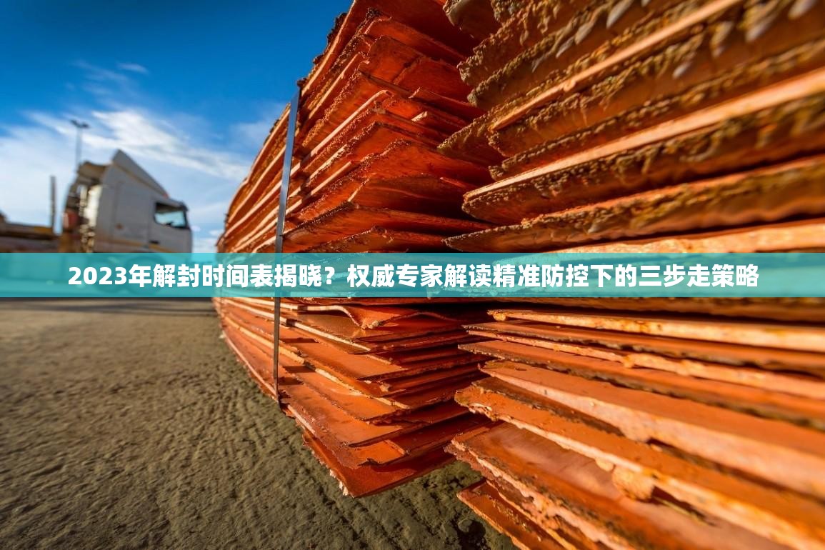 2023年解封时间表揭晓？权威专家解读精准防控下的三步走策略