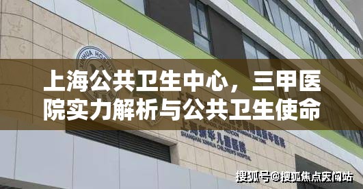 上海公共卫生中心，三甲医院实力解析与公共卫生使命