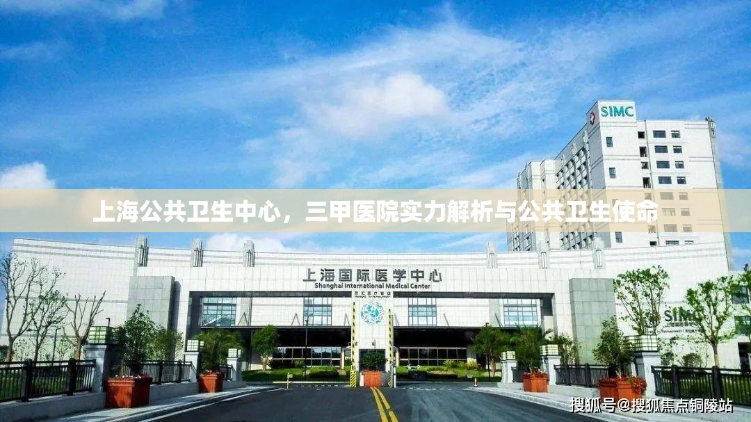 上海公共卫生中心，三甲医院实力解析与公共卫生使命