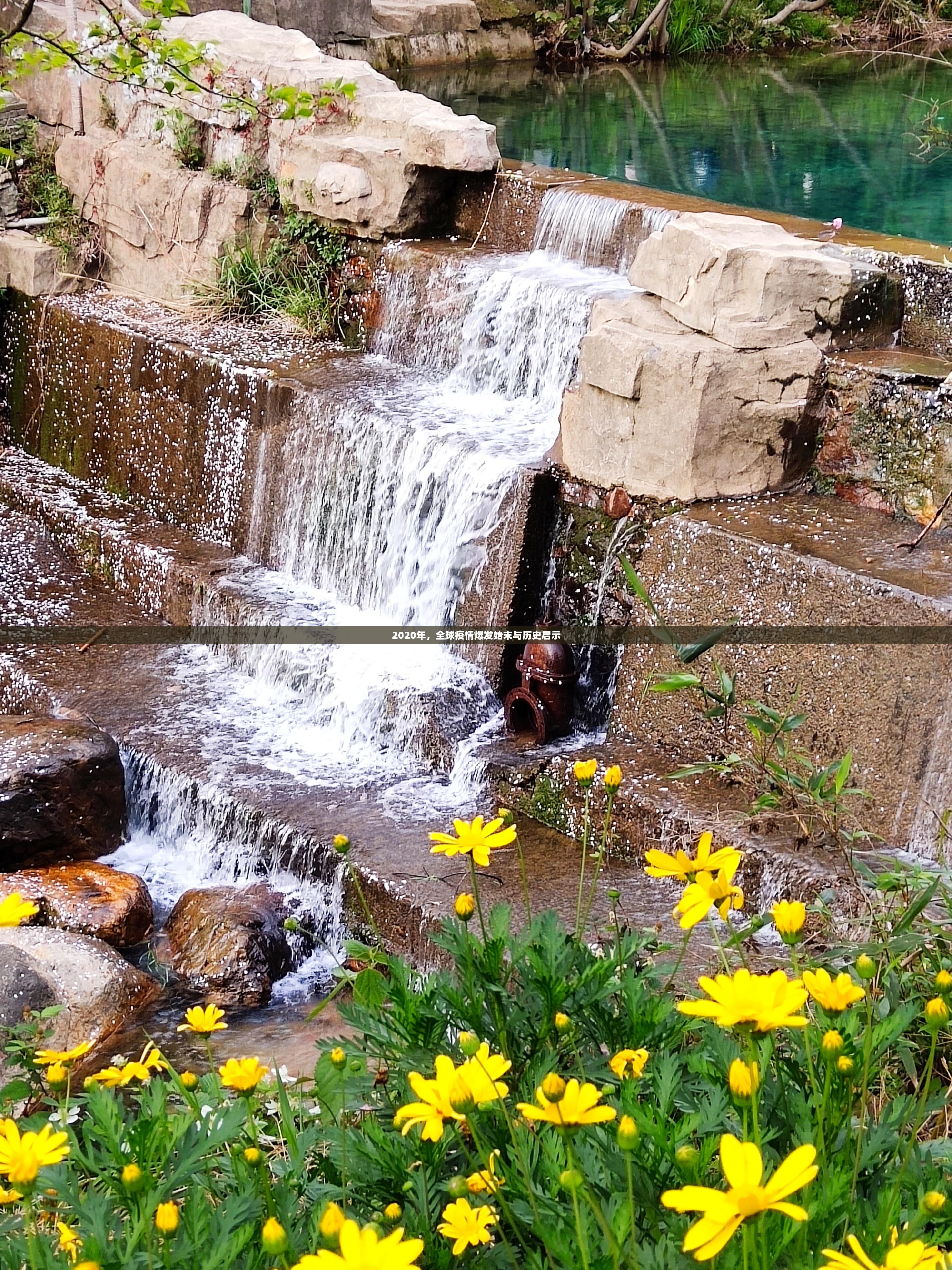 2020年,全球疫情爆发始末与历史启示 2020年,全球疫情爆发始末与历史启示