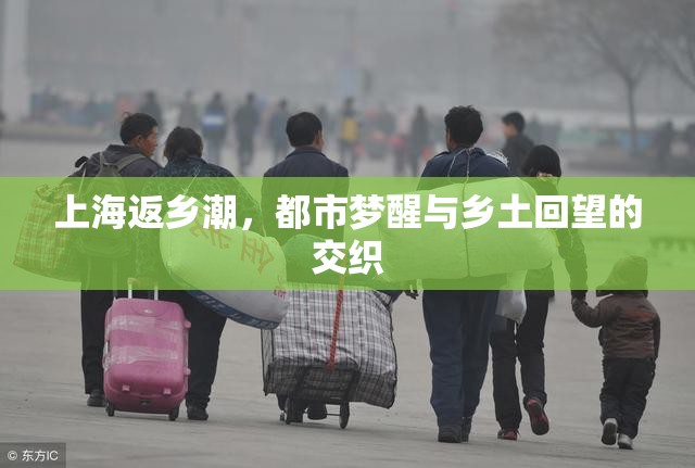 上海返乡潮,都市梦醒与乡土回望的交织 上海返乡潮,都市梦醒与乡土回望的交织