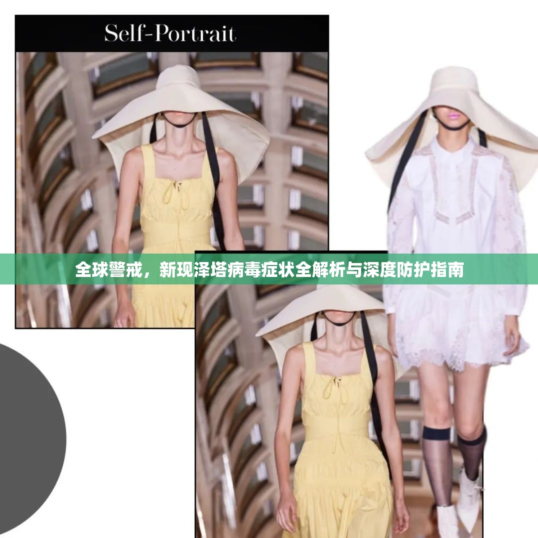 全球警戒,新现泽塔病毒症状全解析与深度防护指南 全球警戒,新现泽塔病毒症状全解析与深度防护指南