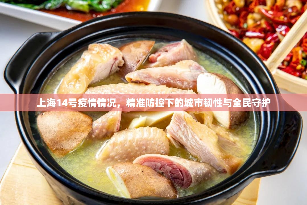 上海14号疫情情况,精准防控下的城市韧性与全民守护 上海14号疫情情况,精准防控下的城市韧性与全民守护
