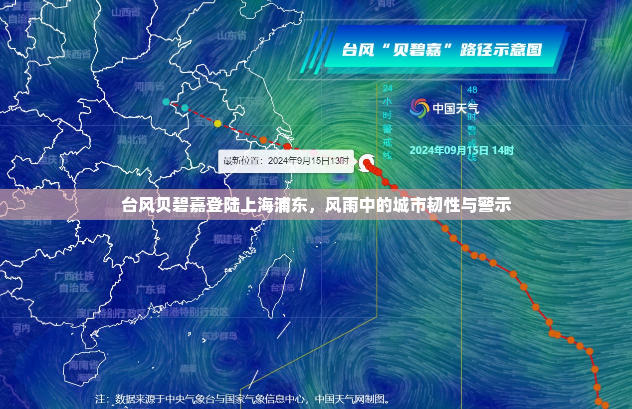 台风贝碧嘉登陆上海浦东，风雨中的城市韧性与警示