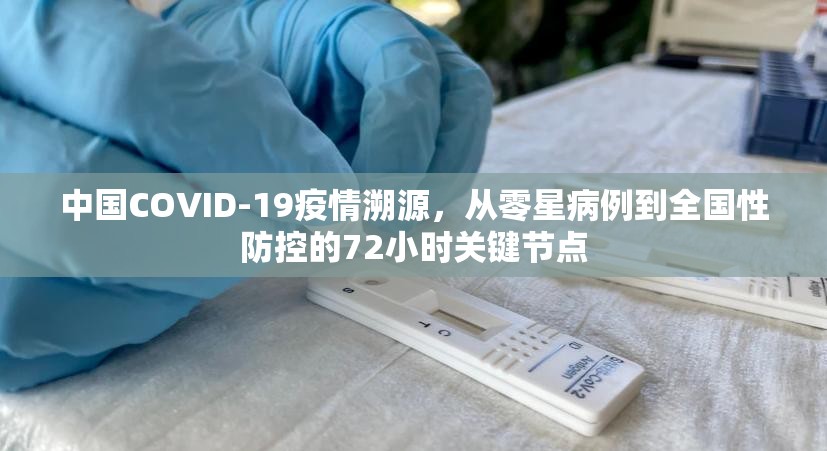 中国COVID-19疫情溯源，从零星病例到全国性防控的72小时关键节点
