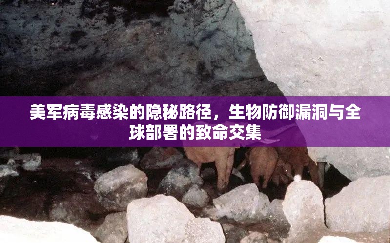 美军病毒感染的隐秘路径，生物防御漏洞与全球部署的致命交集