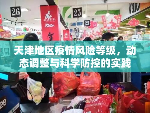 天津地区疫情风险等级，动态调整与科学防控的实践探索