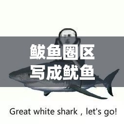 鲅鱼圈区写成鱿鱼圈，一个美丽的误会与地域文化的趣味碰撞