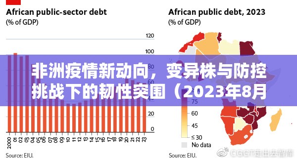 非洲疫情新动向，变异株与防控挑战下的韧性突围（2023年8月深度报告）