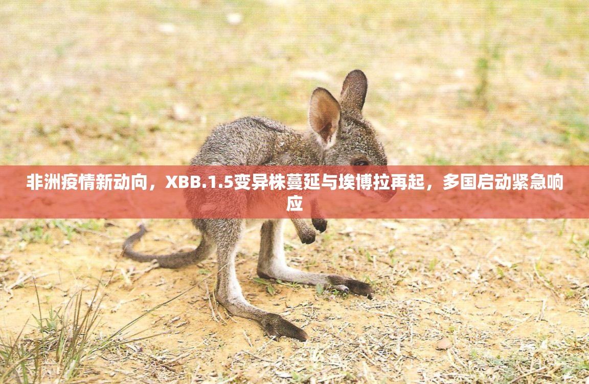 非洲疫情新动向，XBB.1.5变异株蔓延与埃博拉再起，多国启动紧急响应